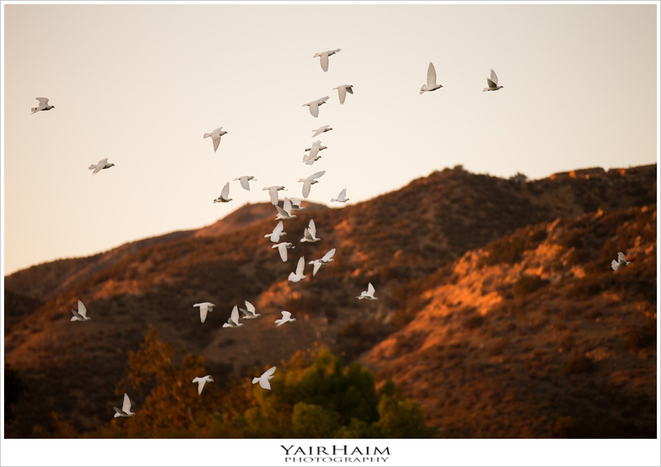 hummingbird-nest-ranch-wedding-photography-Yair-Haim-21